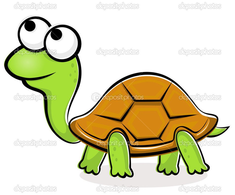 Cartoon Turtle N22