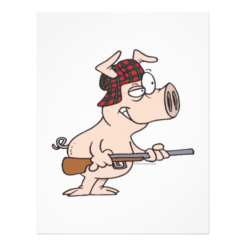 Cartoon Pig N27