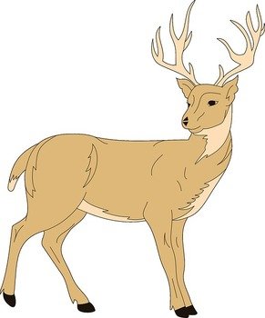 Deer Antlers With Flowers Clip Art
