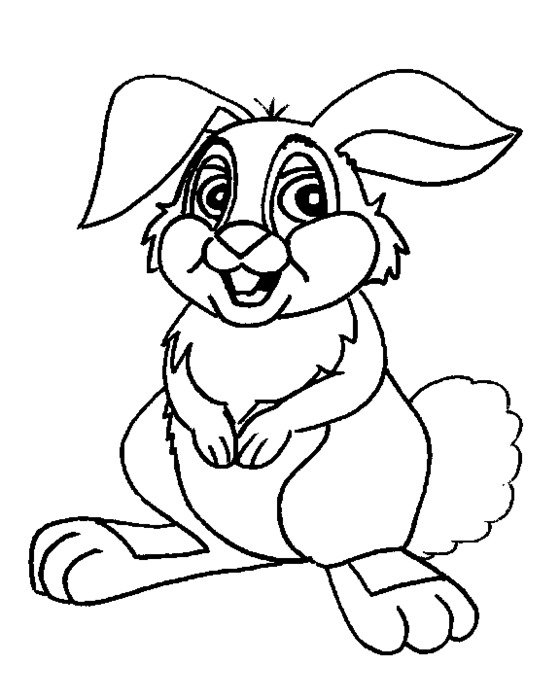 Bunny Rabbit Coloring Pages N4