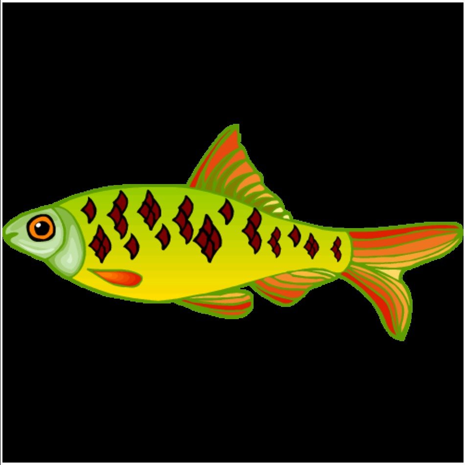 Fish Clipart N8
