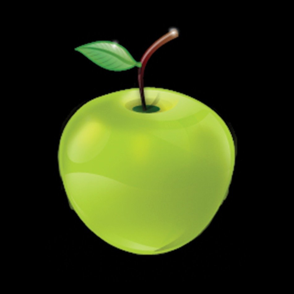 Twitter Icon Clip Art N2