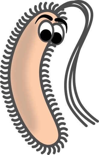 Bacteria Clip Art Black And White N4