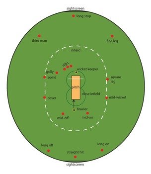Field Cricket