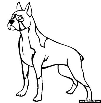Boxer Dog Coloring Pages N2