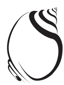 Sea Shell Clip Art N66