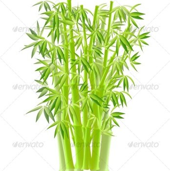 Bamboo Tree Vector