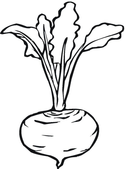 Legumes Betterave Coloriages