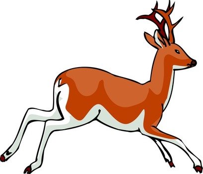 Deer Jumping N2