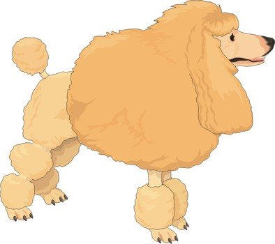 Cartoon Poodle Clip Art N11