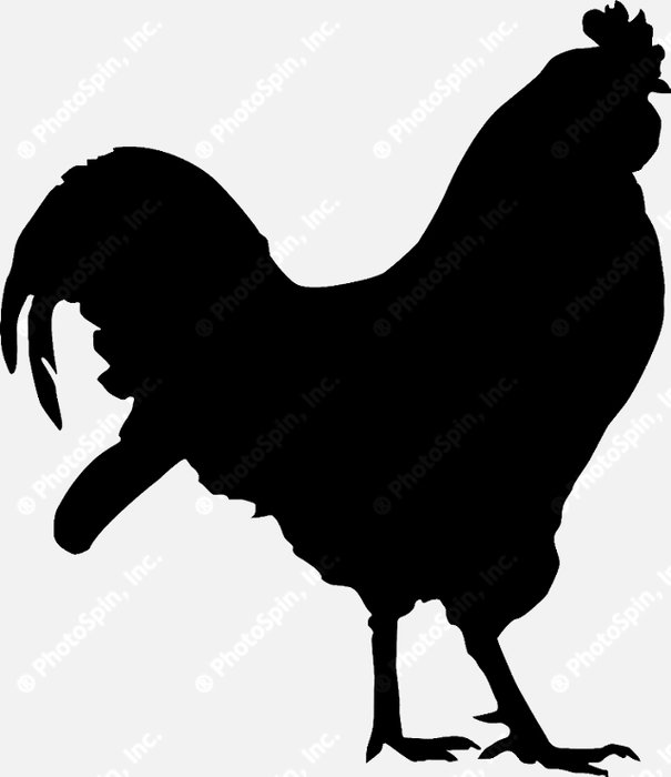Rooster Silhouette Clip Art N12