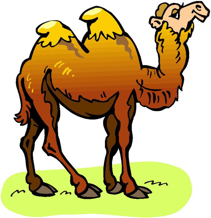 Clip Art of the camel
