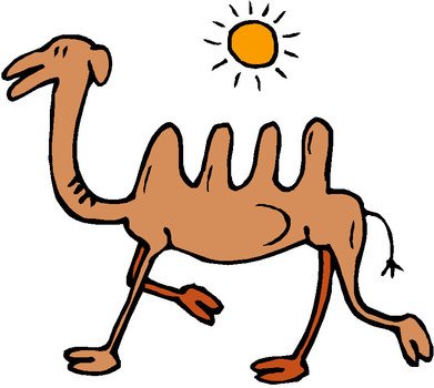 Animated Camel drawing