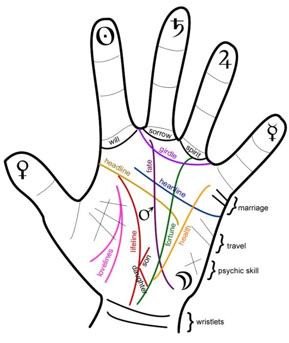 Palm Reading Lines On Hands N2