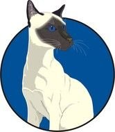 Siamese Cat Cartoon N2