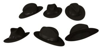 Beautiful black detective hats
