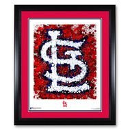 St Louis Cardinals Team Logo N3