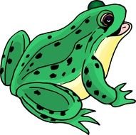 nice green big Frog drawing