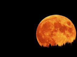 Full Harvest Moon drawing