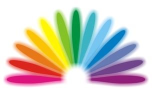Colorful petals, Creative Design