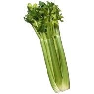 Celery Stalk N7