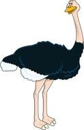 Ostrich Clip Art N24