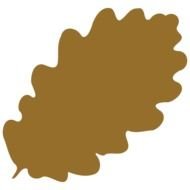 painted brown oak leaf