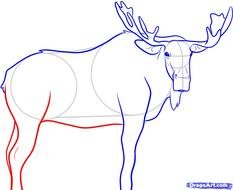 How To Draw A Moose Face