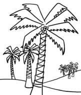 Palm Tree Coloring Pages drawing