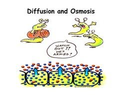 illustration of diffusion and osmosis