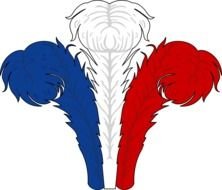 Feather Clip Art N53