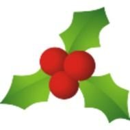 Mistletoe Clip Art N22
