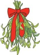 bouquet with mistletoe