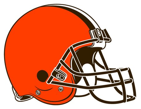 Bears Helmet