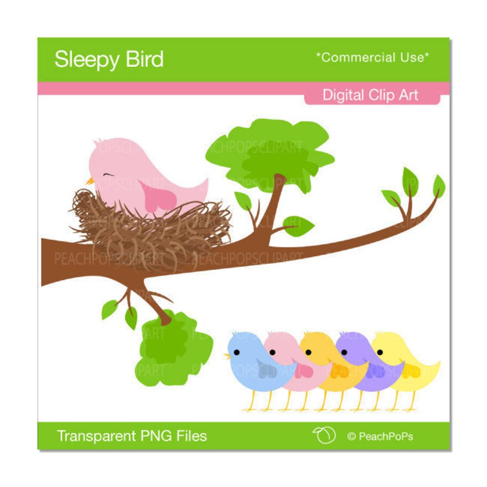 Baby Bird Clip Art N22