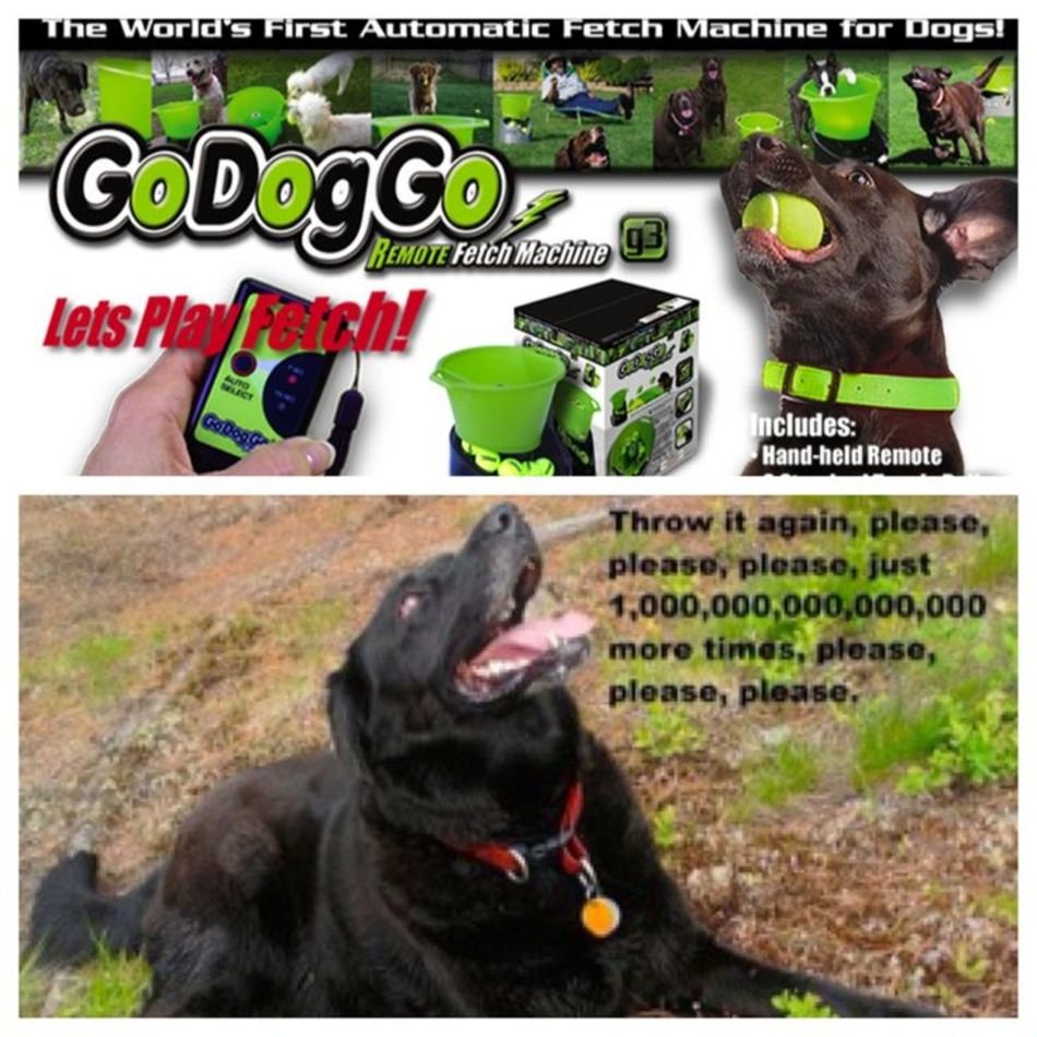Dog Ball Throwing Machine