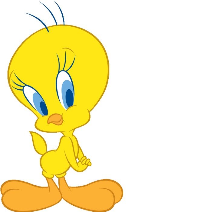 Tweety Bird Drawings