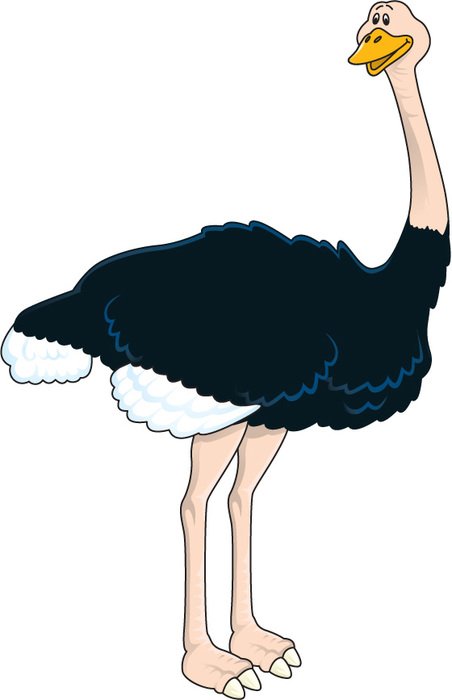 Ostrich Clip Art N24