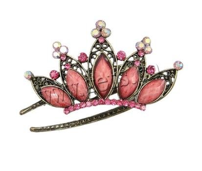 Double Prong Hair Clips