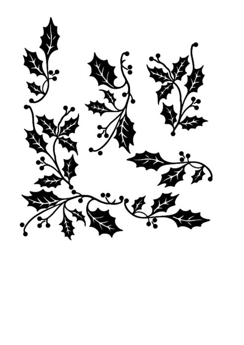 Ä°llustration of Holly Border