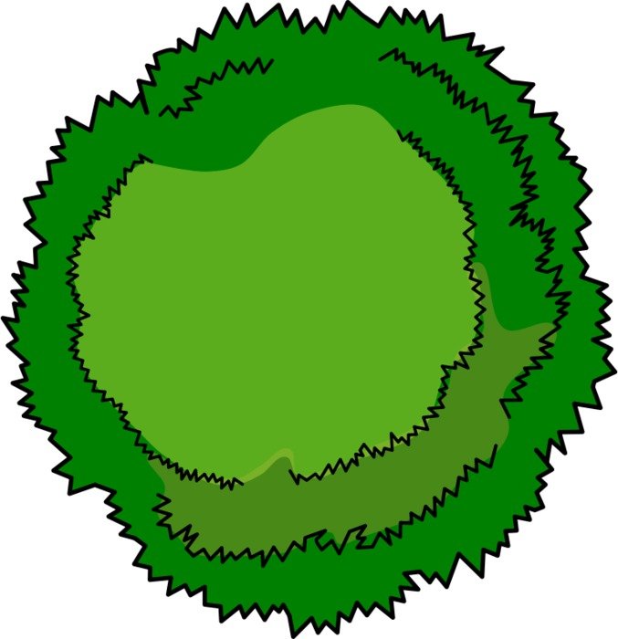 Top View Trees Plans N2