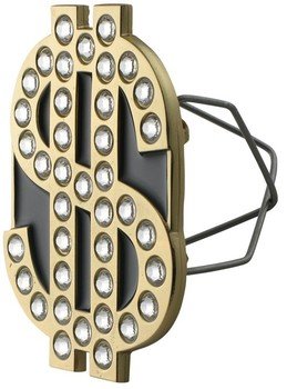 2010 A Ling Bling Dollar Sign Hitch Receiver