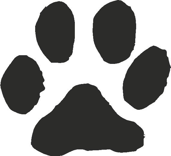 Cat Paw Prints N22 free image download