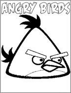 angry birds as a illustration