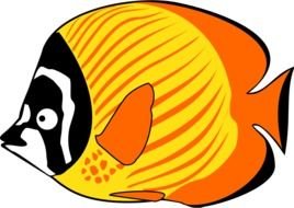 orange Butterflyfish drawing