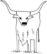 Texas Longhorns Coloring Pages N3