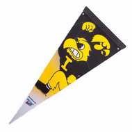 Iowa Hawkeyes Mascot N3