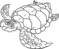 Sea Animals Coloring Pages drawing