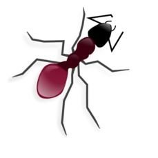 Cartoon Ant Clip Art N28
