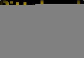 Pittsburgh Steelers Football N3
